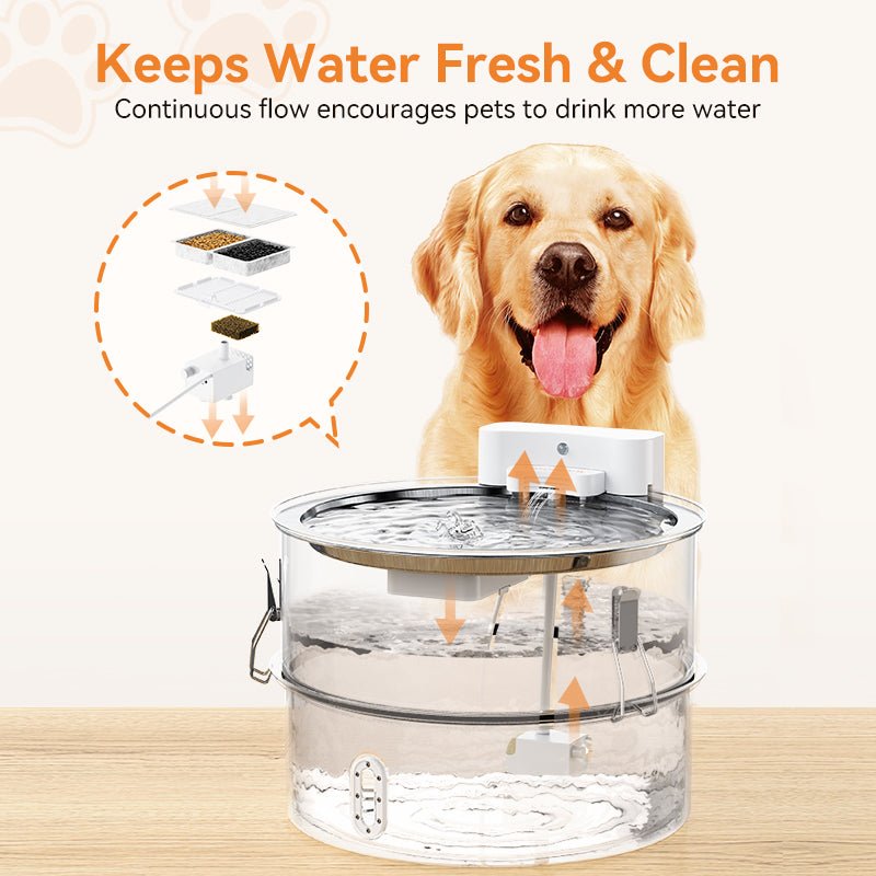 Meowant Stainless Steel Dog Water Fountain-DF01